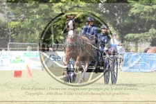 ref. photo 3706153