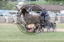 ref. photo 3706164