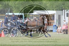 ref. photo 3706165