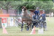 ref. photo 3706168