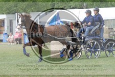 ref. photo 3706171