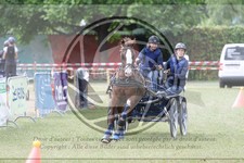 ref. photo 3706174