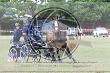 ref. photo 3706176