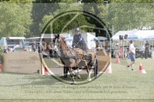 ref. photo 3706179