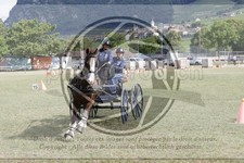 ref. photo 3706182