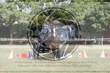 ref. photo 3706184