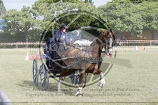 ref. photo 3706186