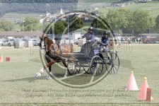 ref. photo 3706191