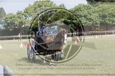 ref. photo 3706193