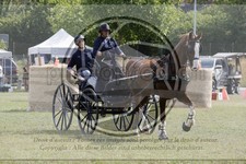 ref. photo 3706194