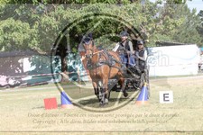 ref. photo 3706209