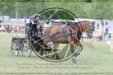 ref. photo 3706230