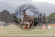 ref. photo 3706245