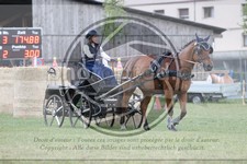 ref. photo 3706258