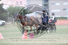 ref. photo 3706260