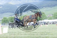 ref. photo 3706278