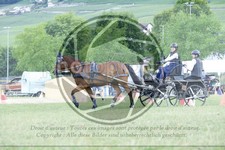 ref. photo 3706280