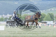 ref. photo 3706286