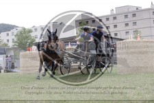 ref. photo 3706292