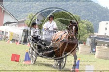 ref. photo 3706301