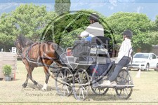 ref. photo 3706302
