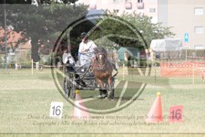 ref. photo 3706303