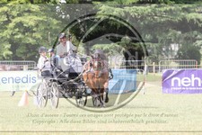 ref. photo 3706307