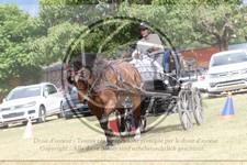 ref. photo 3706312