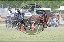ref. photo 3706318