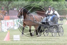 ref. photo 3706320