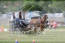 ref. photo 3706336