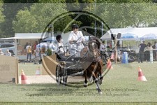 ref. photo 3706348