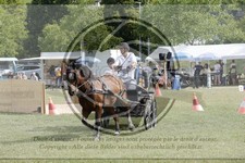 ref. photo 3706349