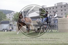 ref. photo 3706366