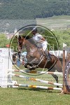 ref. photo 3706399