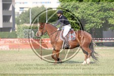 ref. photo 3706449