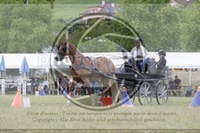 ref. photo 3706506