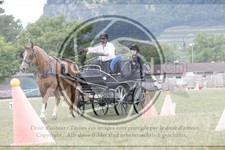 ref. photo 3706507