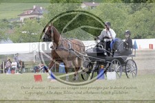 ref. photo 3706509