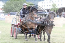 ref. photo 3706530
