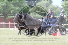 ref. photo 3706549