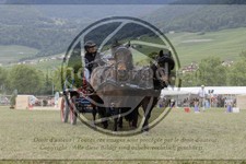 ref. photo 3706578