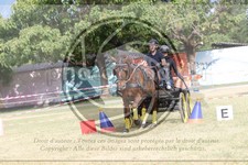 ref. photo 3706592