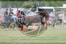 ref. photo 3706602