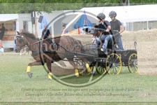 ref. photo 3706609