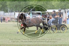 ref. photo 3706613
