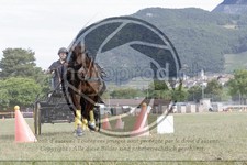 ref. photo 3706619