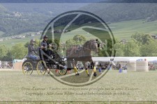 ref. photo 3706620
