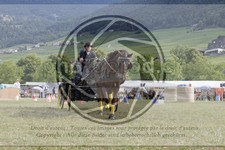 ref. photo 3706621