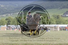 ref. photo 3706622